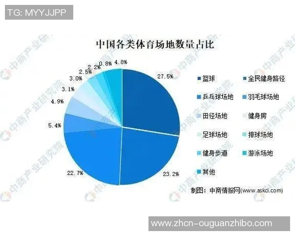 中国足球场排名分析及其对国内足球发展的影响探讨